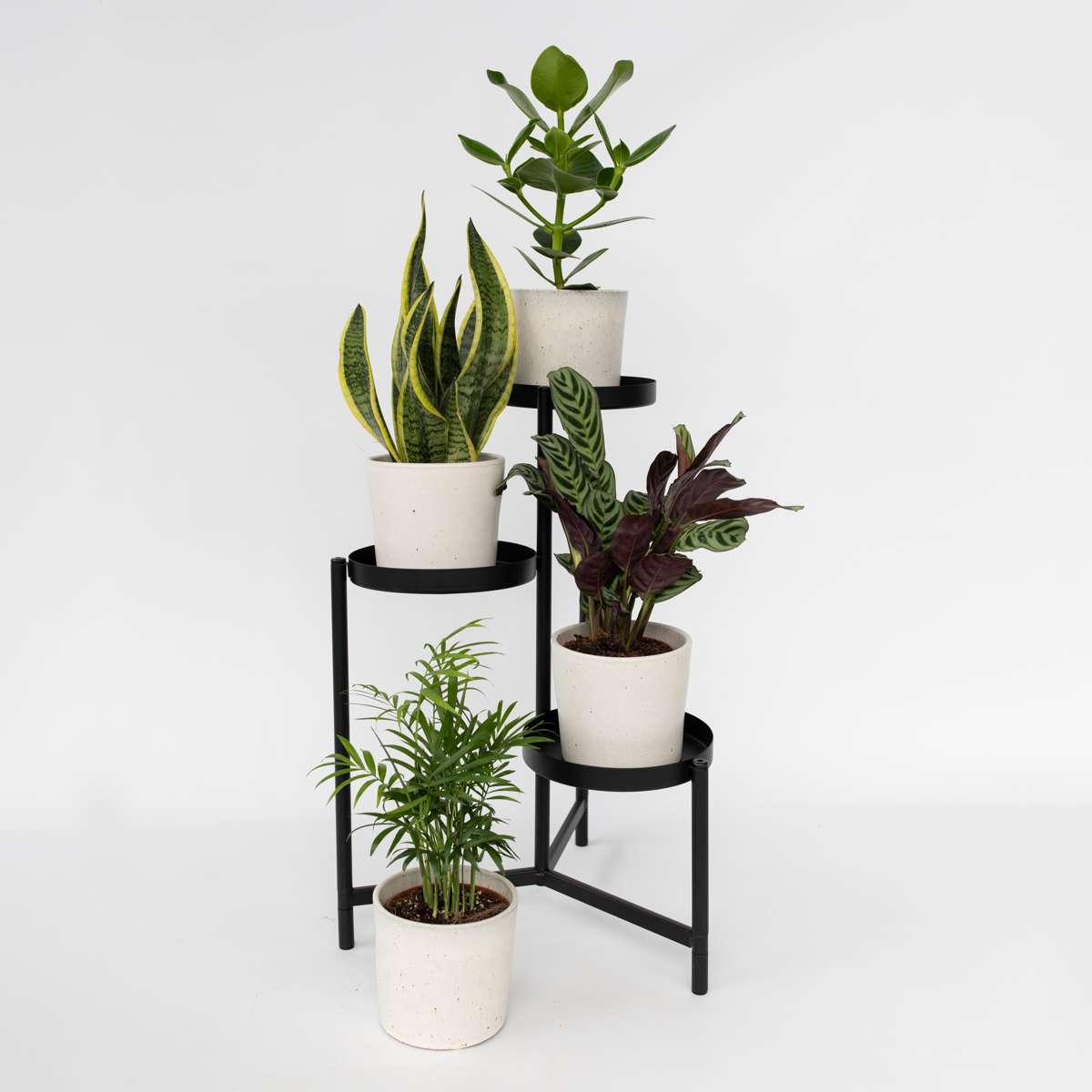 Mix ușor de întreținut - 4 buc - Înălţime 25-40cm - ⌀12cm