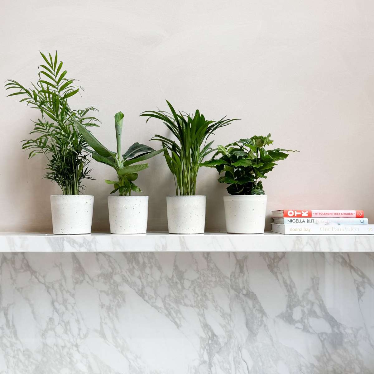 Mix la modă pentru interior - 4 buc - Înălţime 25-40cm - ⌀12cm