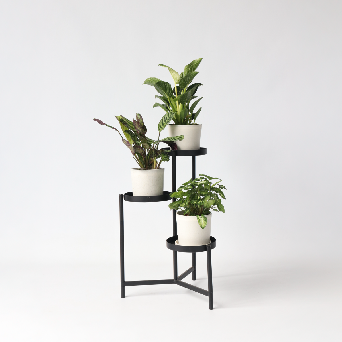 Mix pentru interior acasă - 3 buc - Înălţime 25-40cm - ⌀12cm