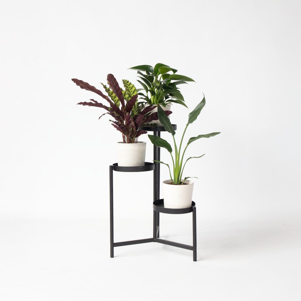 Mix verde pentru interior - 3 buc - Înălţime 25-40cm - ⌀12cm