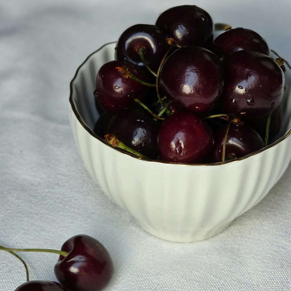 Cireș - Prunus avium - Cireș dulce - Înălțime 90-110cm - ⌀23cm