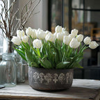 Bulbi de lalele - 14 buc - Tulipa 'Northcap' - Bulbi de flori - Galben