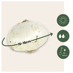 Becuri de allium - 3 buc - Allium 'Mount Everest' - Bulbi de flori - Alb