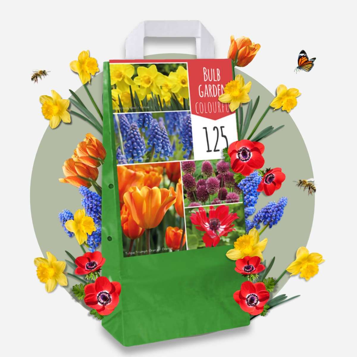 Amestecul de bulbi de flori - 125 buc - Tulipa, Anem. Narcis. Allium, Muscari