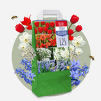 Bulbi de flori olandezi - 250 buc - Tulipa, Narcissus, Scilla, Allium, Muscari