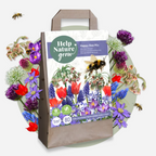 Anemonele - 80 buc - Anemon Chionodoxa Muscari Nectar.Tulipa - Bulbi de flori