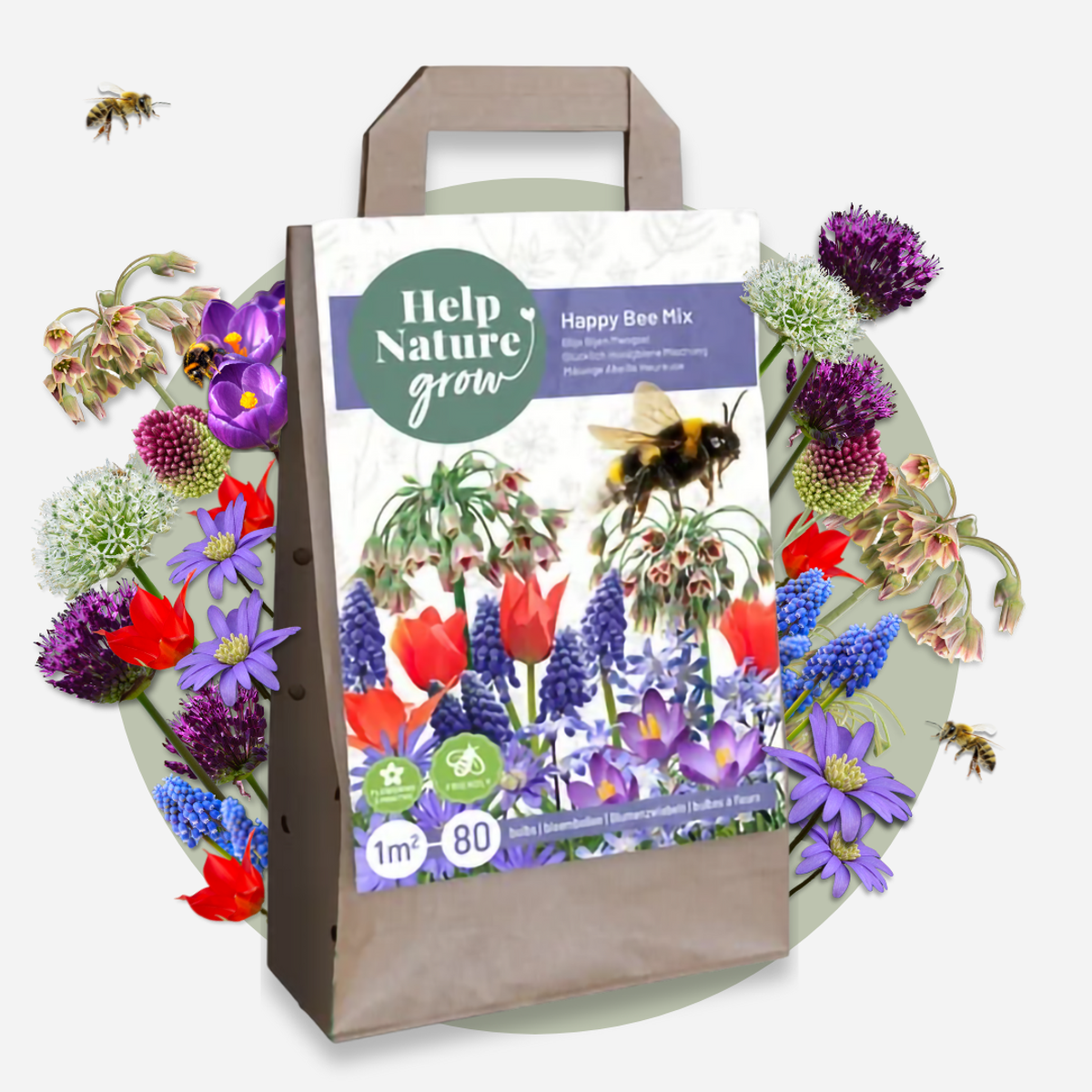 Anemonele - 80 buc - Anemon Chionodoxa Muscari Nectar.Tulipa - Bulbi de flori