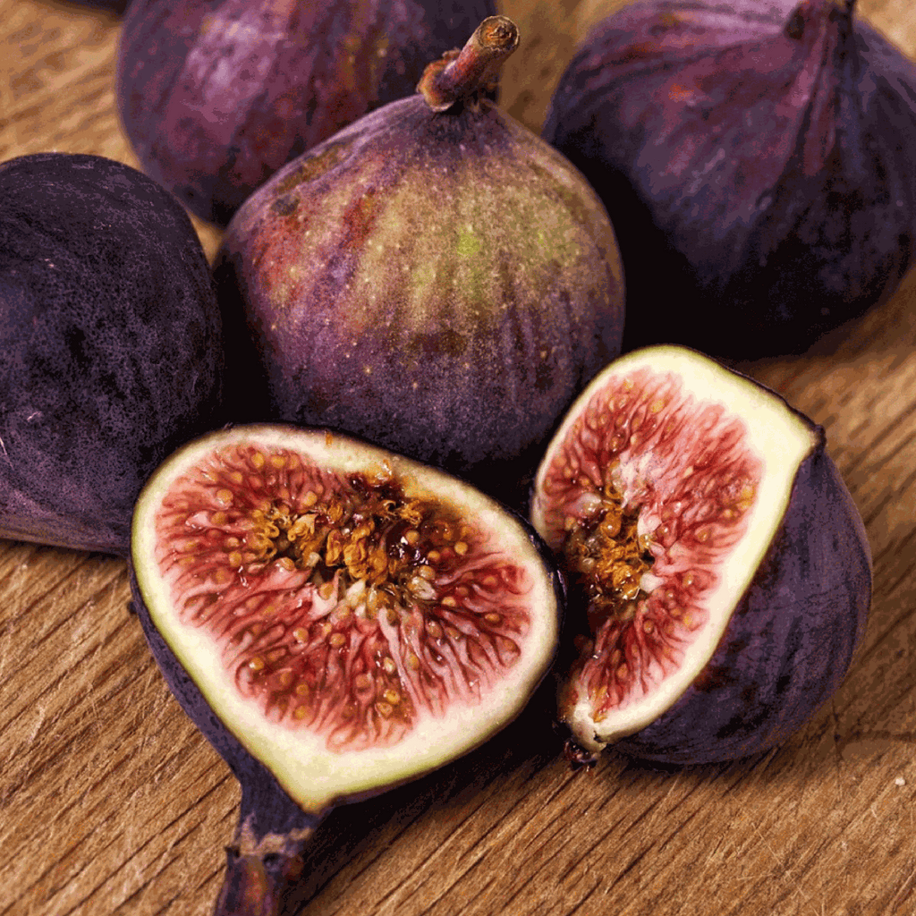 Smochin - 2 buc - Ficus Carica - Înălţime 70-90cm - ⌀21cm