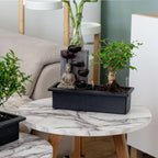 Arborele bonsai - 2 buc - Bonsai - Înălţime 25-35cm - ⌀29cm