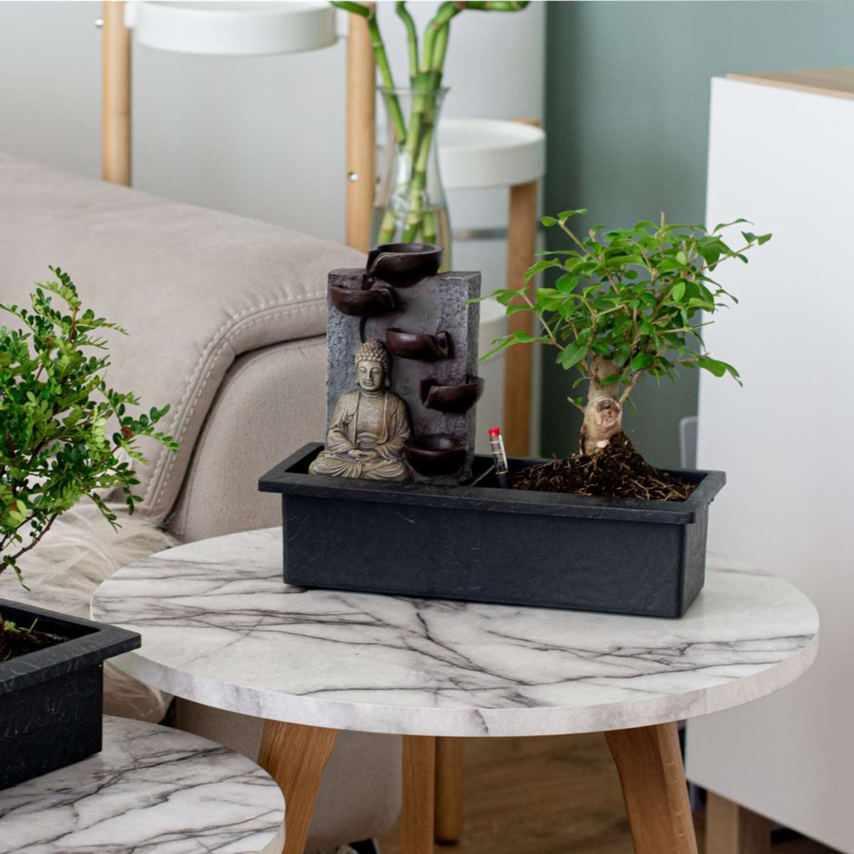 Arborele bonsai - 2 buc - Bonsai - Înălţime 25-35cm - ⌀29cm