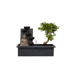 Arborele bonsai - Bonsai - Înălţime 25-35cm - ⌀29cm