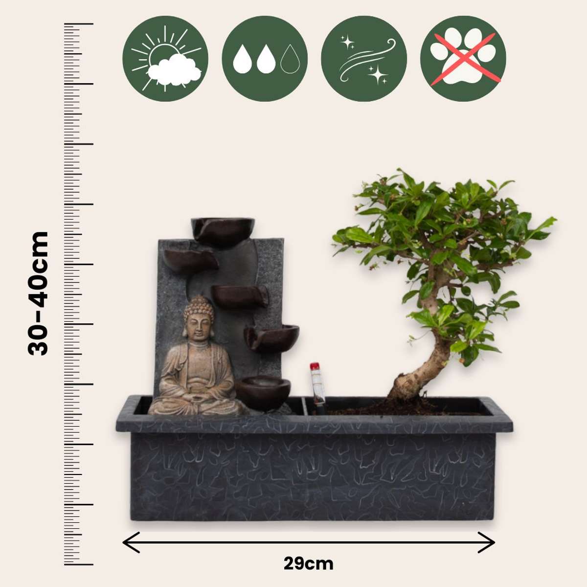 Arborele bonsai - Bonsai - Înălţime 25-35cm - ⌀29cm