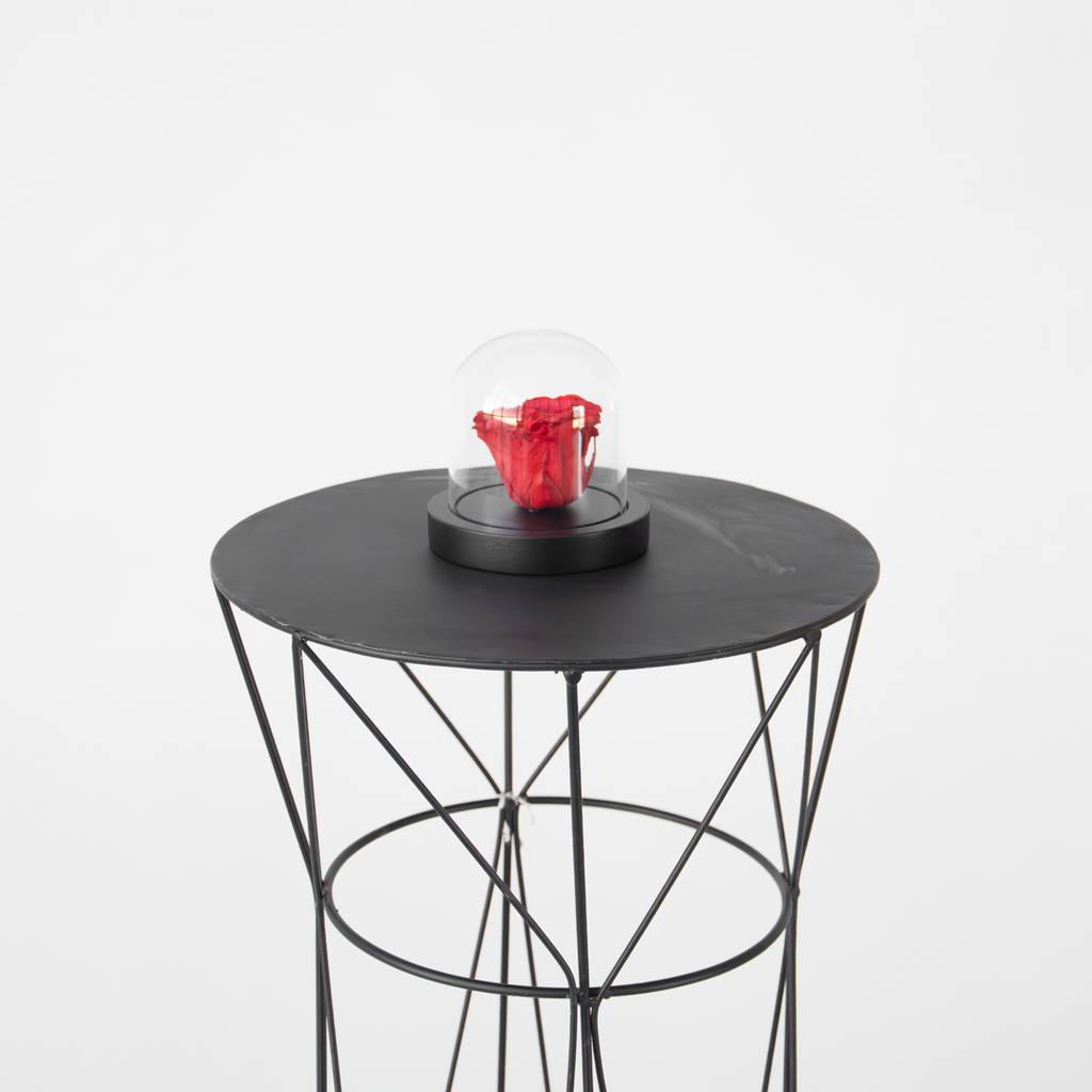 Trandafir roșu conservat sub cupolă de sticlă - Trandafir natural - Cadou de lux