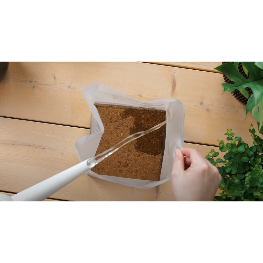 Pokon pământ de ghiveci Compact - Cocos - Casă și grădină - 10 litri