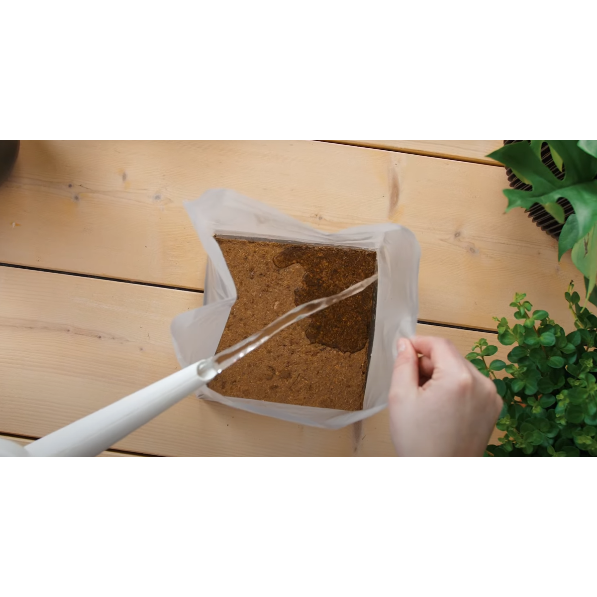 Pokon pământ de ghiveci Compact - Cocos - Casă și grădină - 50 litri