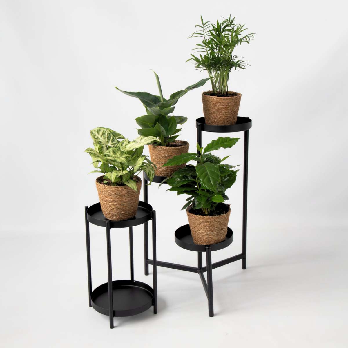 Set de plante de interior în coș decorativ - Set de 4 - Înălțime 25-40cm - ⌀12cm