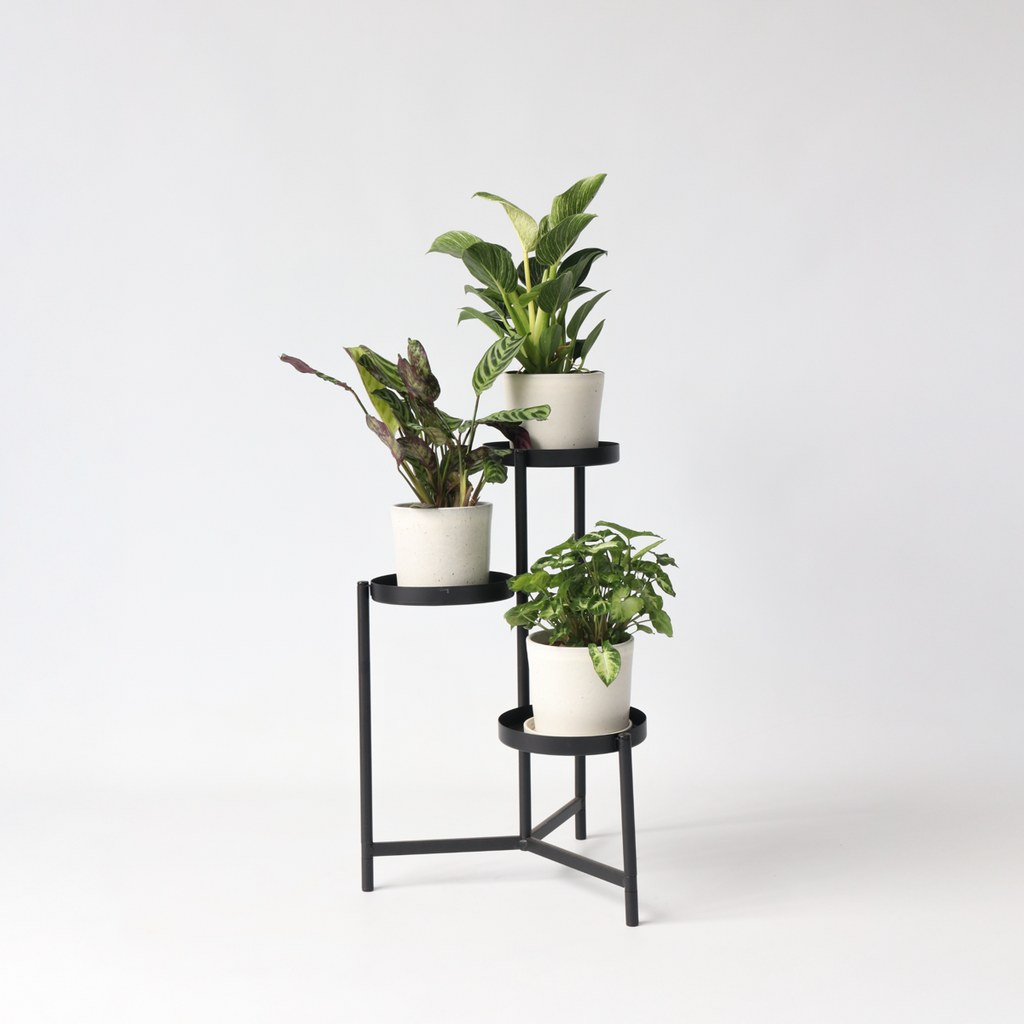 Mix pentru interior acasă - 3 buc - Înălţime 25-40cm - ⌀12cm