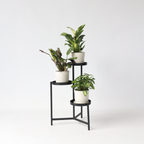 Mix pentru interior acasă - 3 buc - Înălţime 25-40cm - ⌀12cm