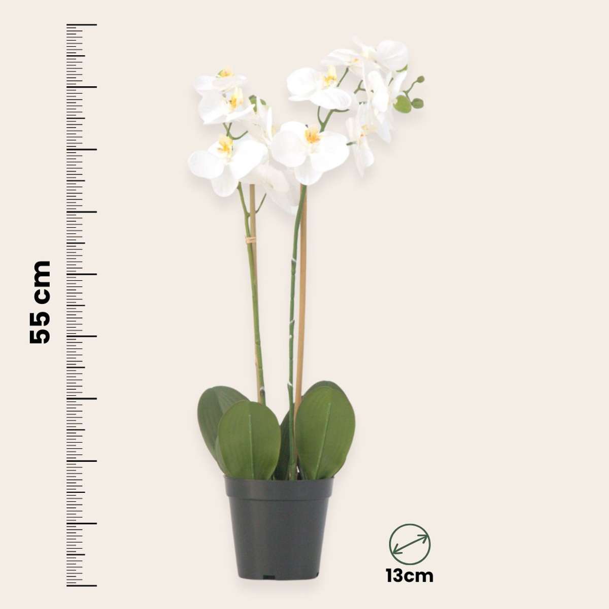 Orhidee Phalaenopsis artificială - Înălțime 55cm