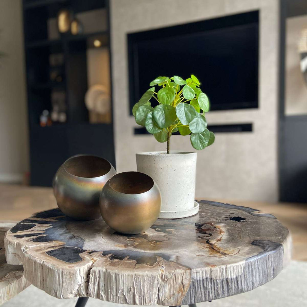 Pilea Peperomioides artificială - Înălțime 25cm