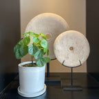 Pilea Peperomioides artificială - Înălțime 25cm