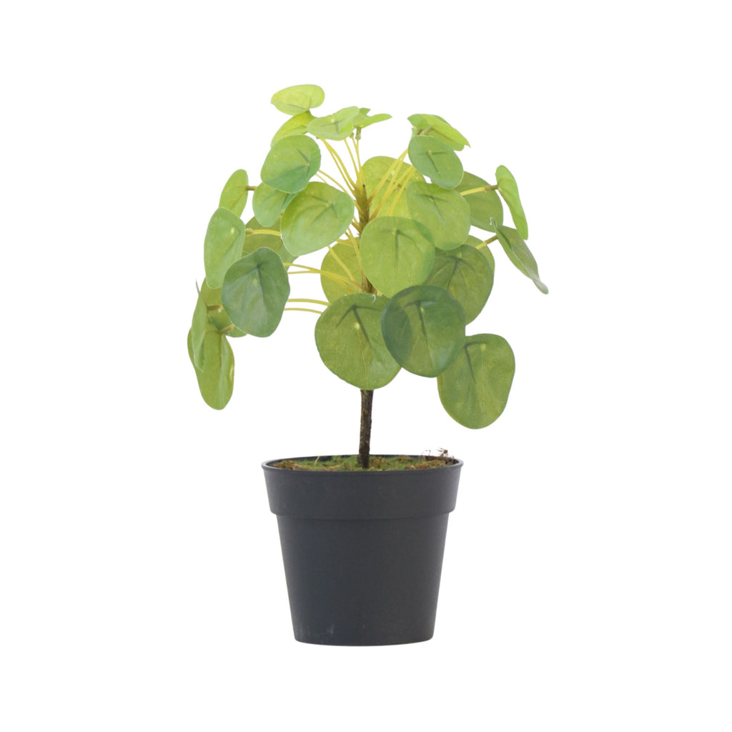 Pilea Peperomioides artificială - Înălțime 25cm