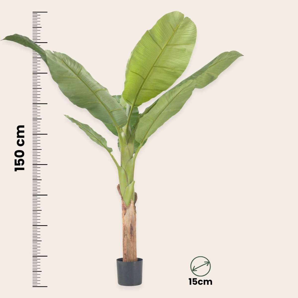 Plantă de bananier Musa artificială - Înălțime 150cm
