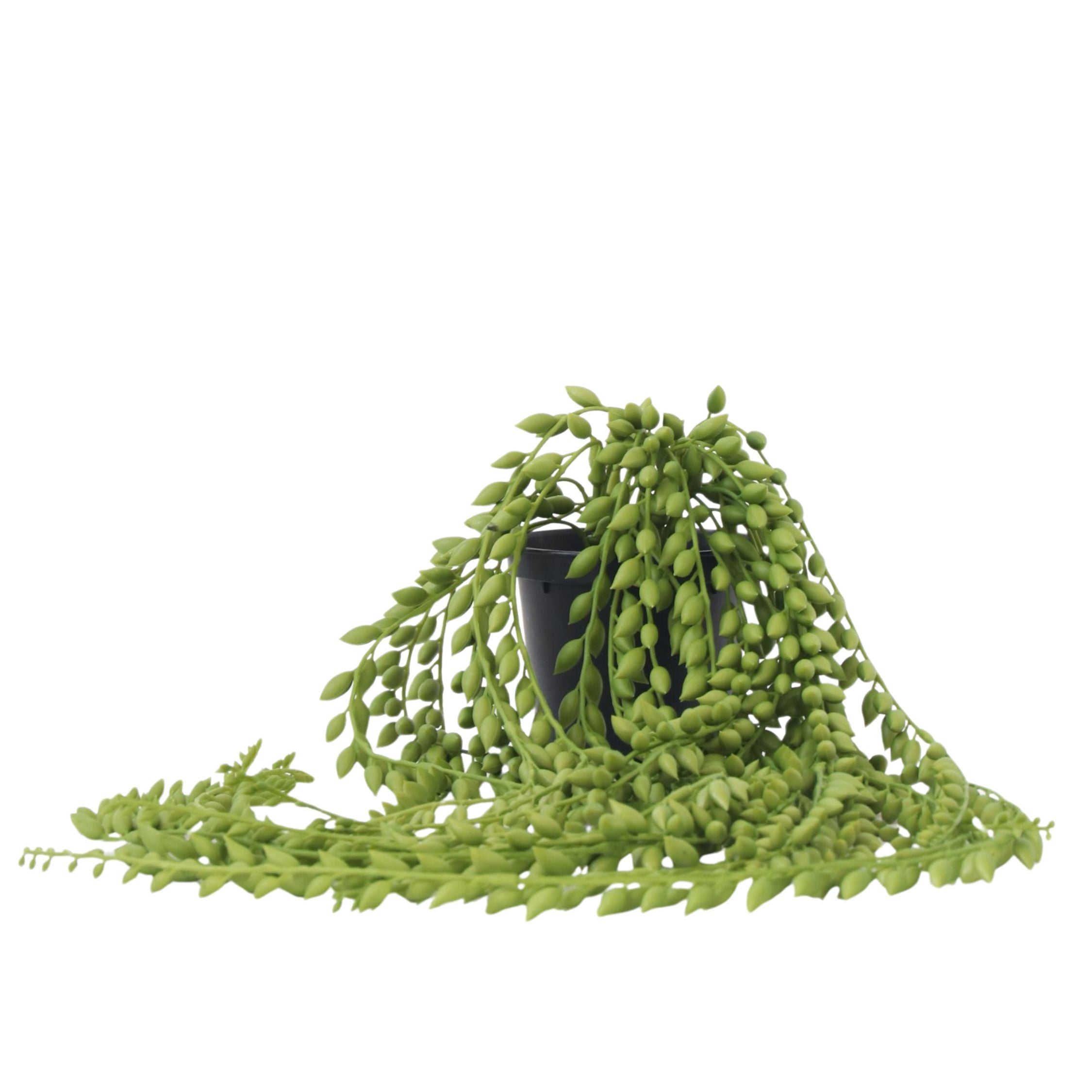 Senecio artificial - Înălțime 90cm