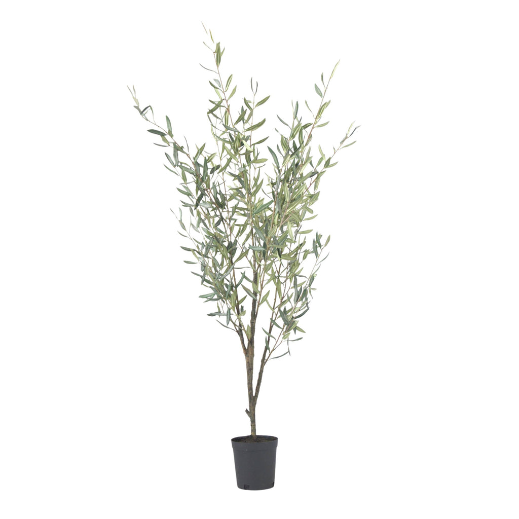 Măslin artificial - Înălțime 150cm