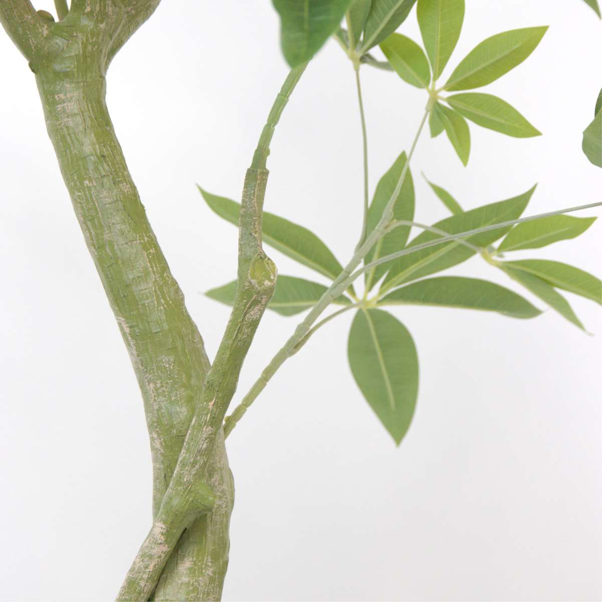 Pachira artificială - Înălțime 120cm