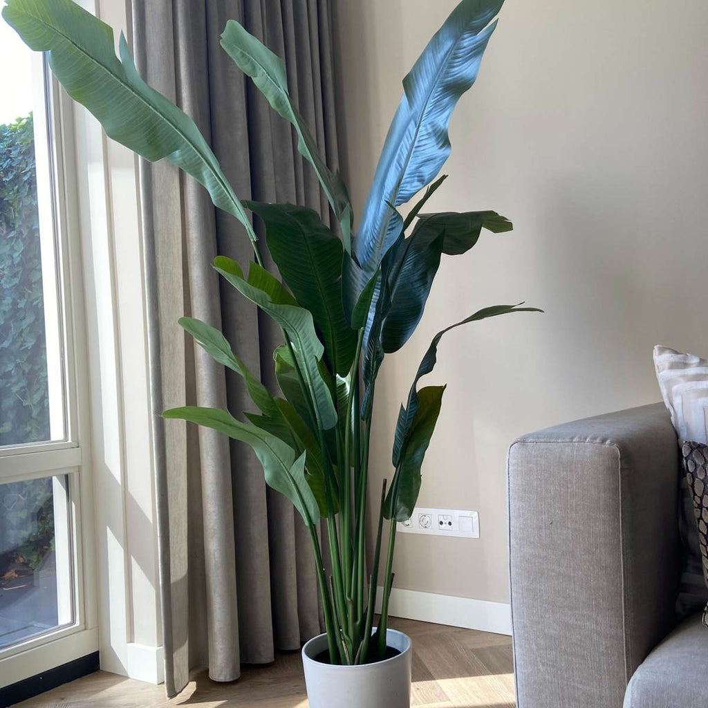 Strelitzia artificială - Înălțime 160cm