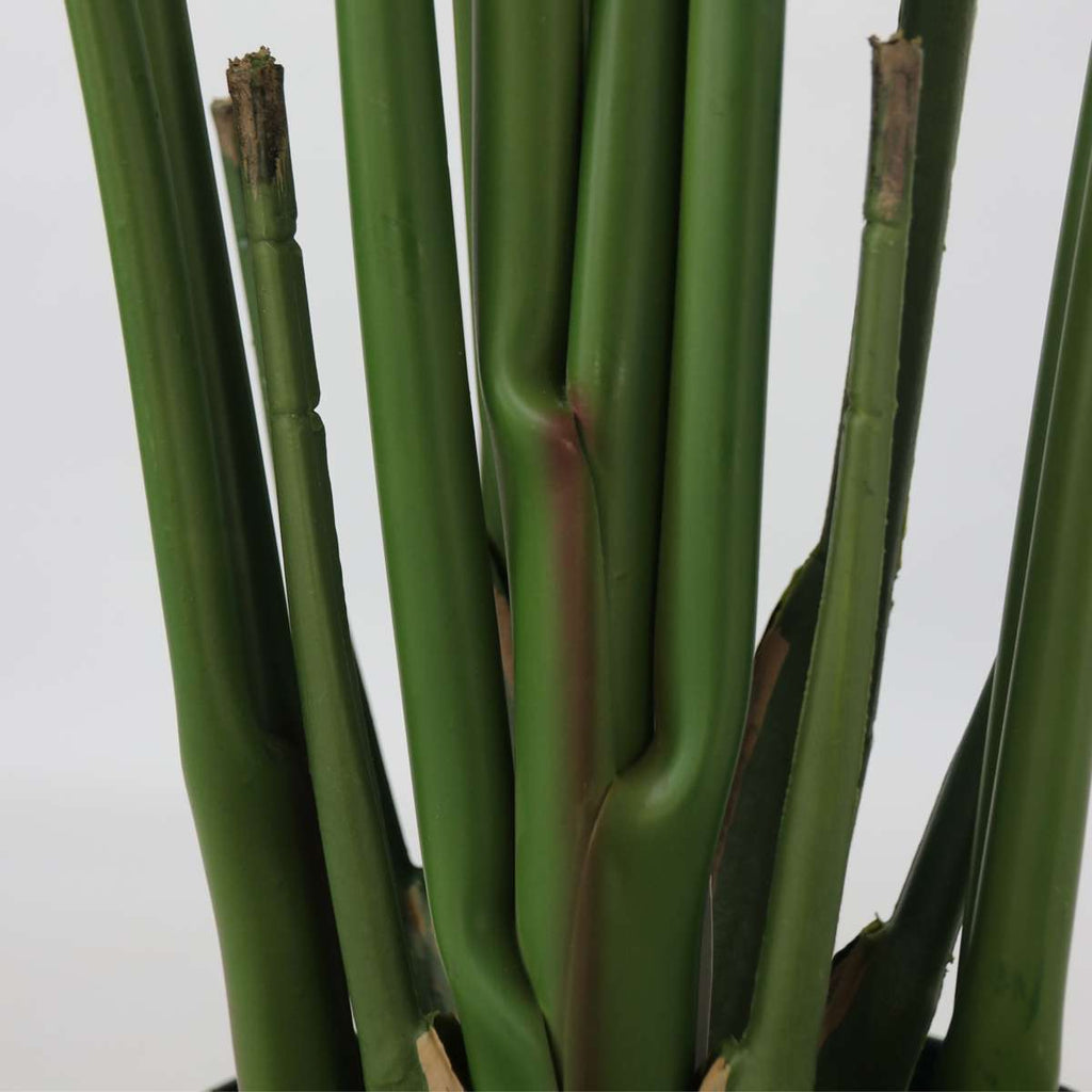 Strelitzia artificială - Înălțime 160cm