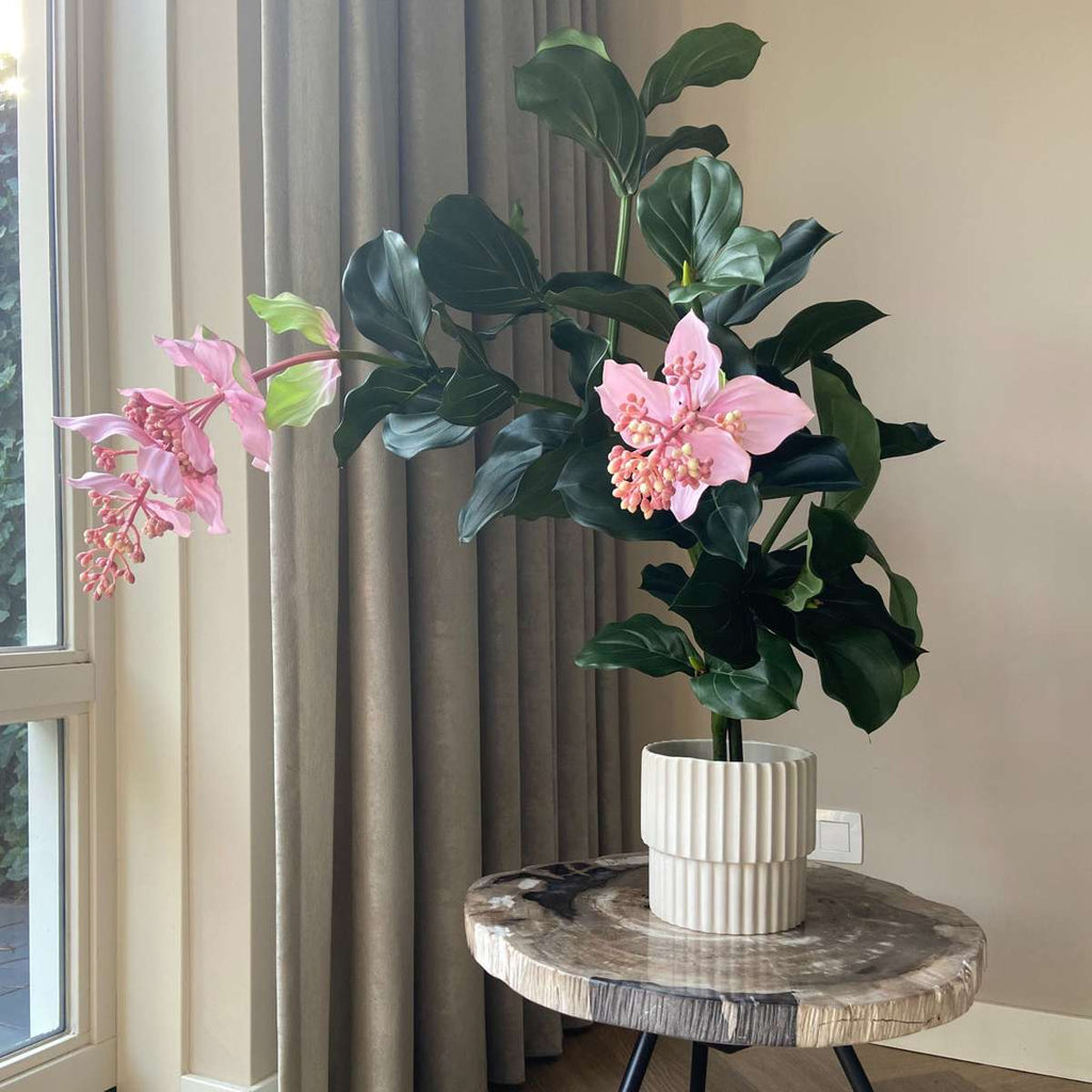 Medinilla Magnifica artificială - Înălțime 85cm