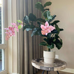 Medinilla Magnifica artificială - Înălțime 85cm
