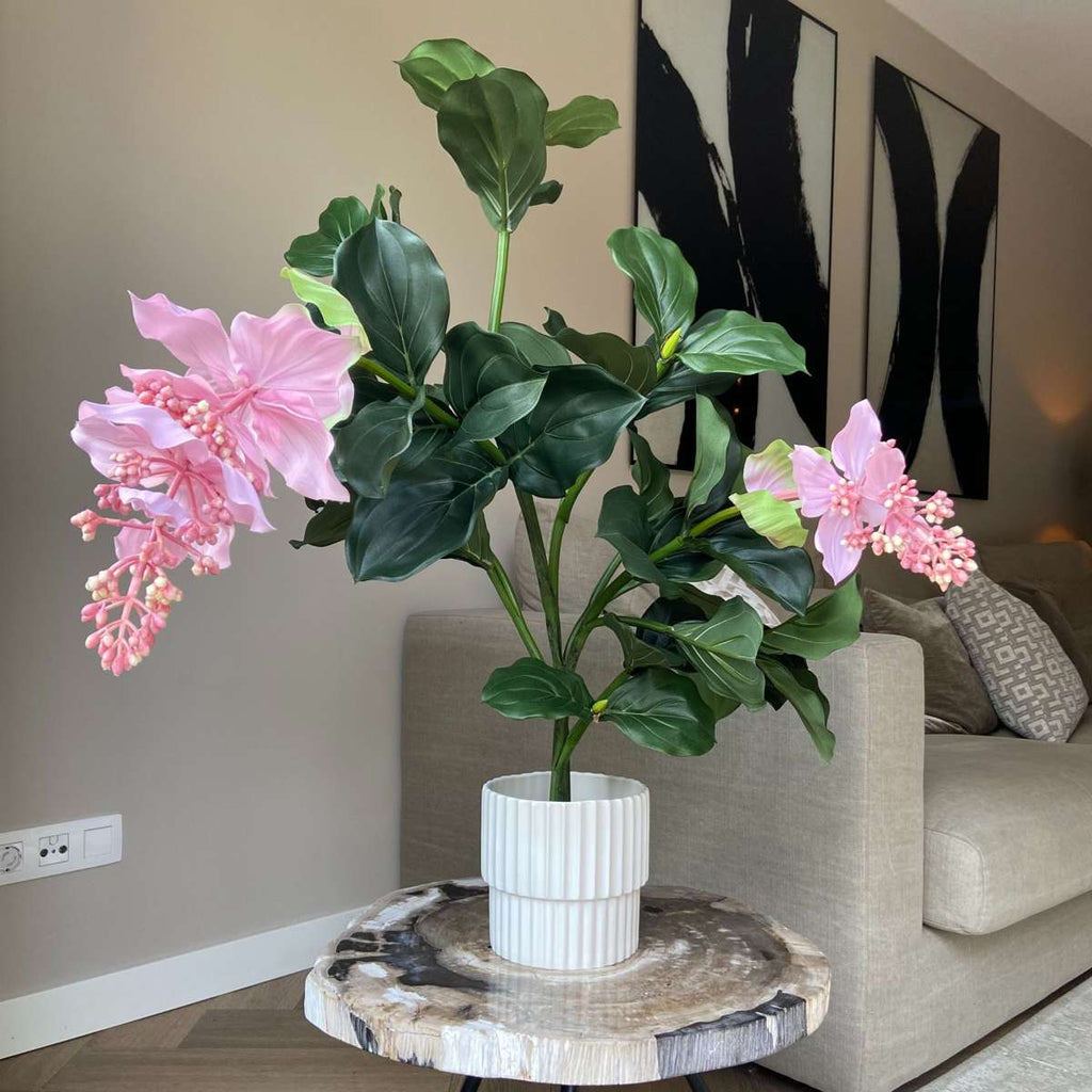 Medinilla Magnifica artificială - Înălțime 85cm