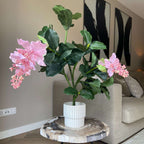 Medinilla Magnifica artificială - Înălțime 85cm