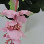 Medinilla Magnifica artificială - Înălțime 85cm