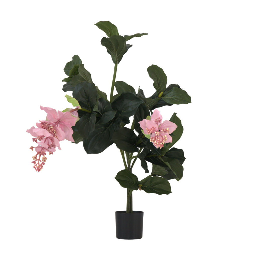 Medinilla Magnifica artificială - Înălțime 85cm