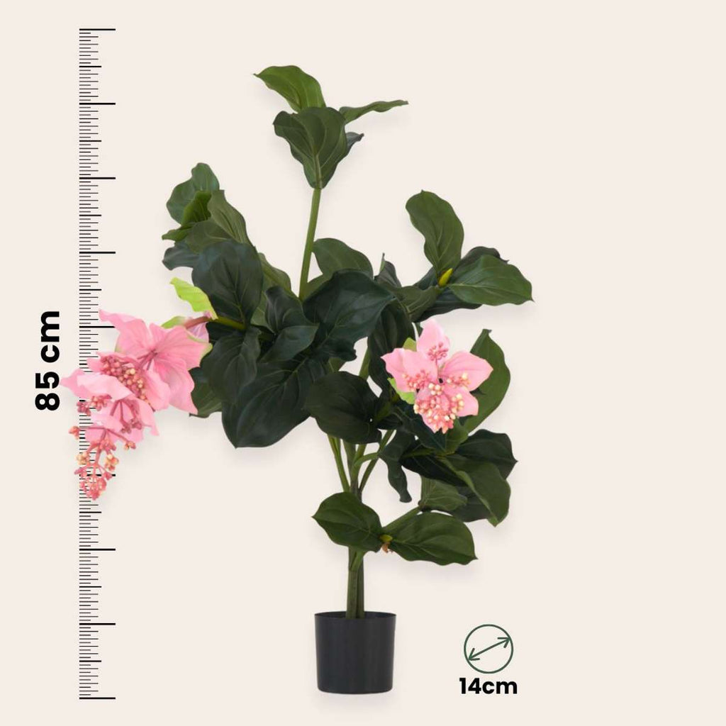 Medinilla Magnifica artificială - Înălțime 85cm