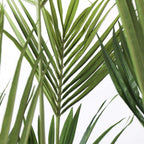 Kentia artificială - Înălțime 150cm