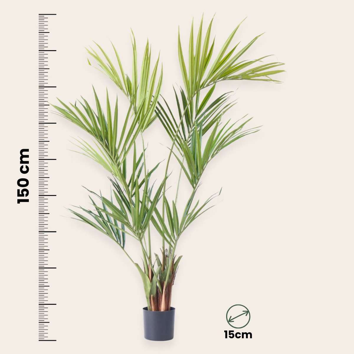 Kentia artificială - Înălțime 150cm