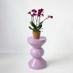 Orhidee fluture - Phalaenopsis Multiflora cu coș - Înălțime 35-45cm - ⌀12cm