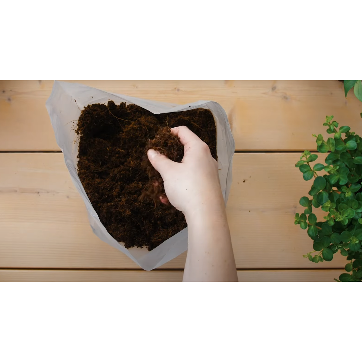 Pokon pământ de ghiveci Compact - Cocos - Casă și grădină - 50 litri