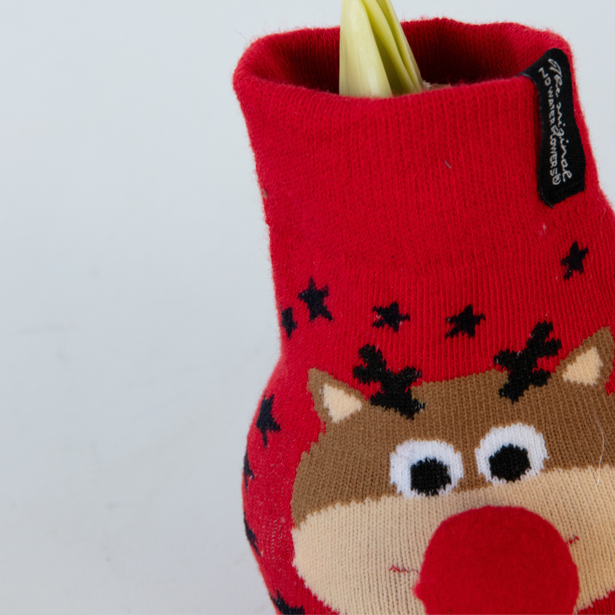 Crin de cameră - Amaryllis - 3 buc - Hippeastrum 'Xmas Sweater Mix' - Roşu