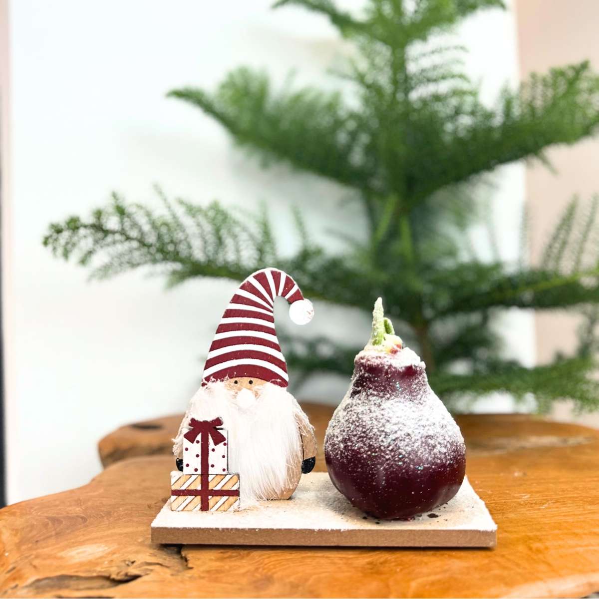 Amarilis - Set de 3 - Hippeastrum 'Țara Minunilor Mix'