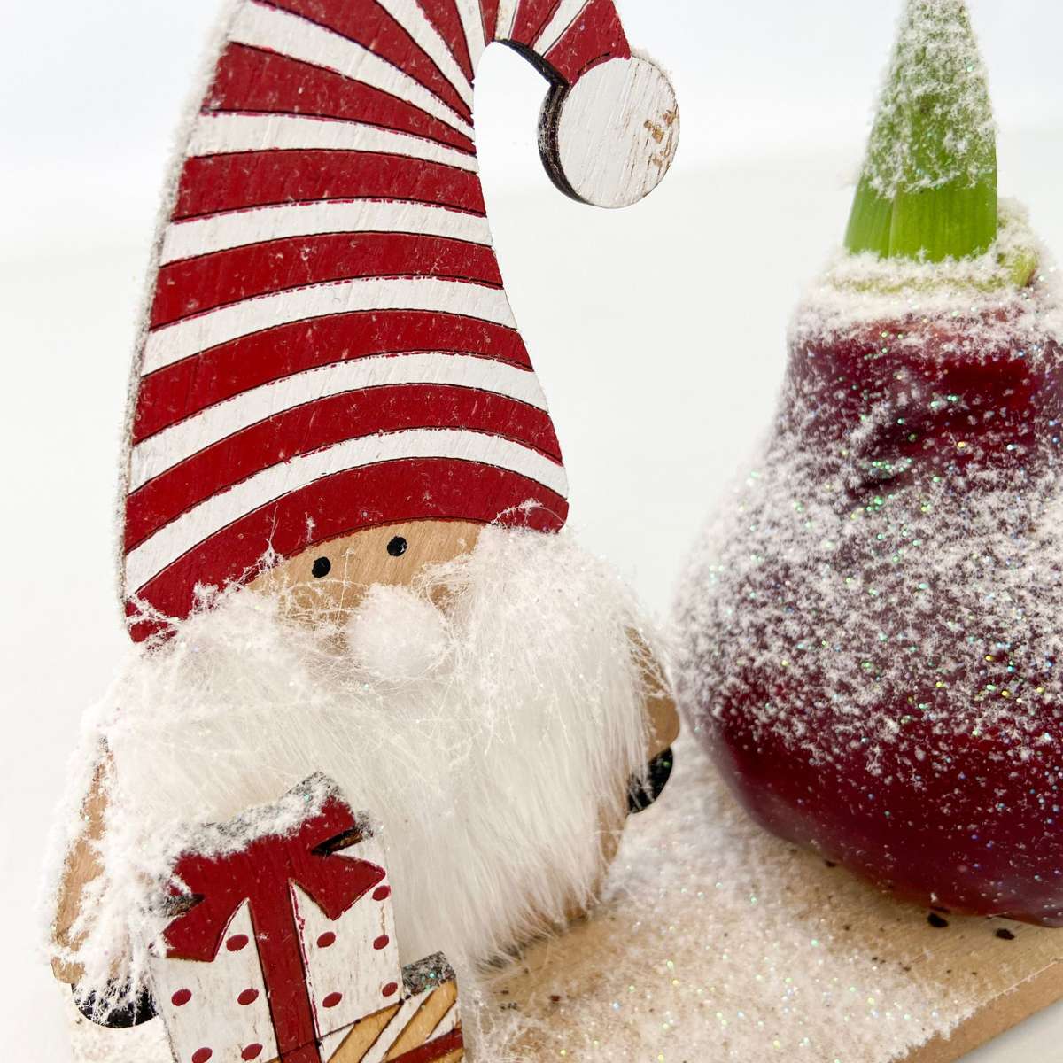 Amarilis - Set de 3 - Hippeastrum 'Țara Minunilor Mix'