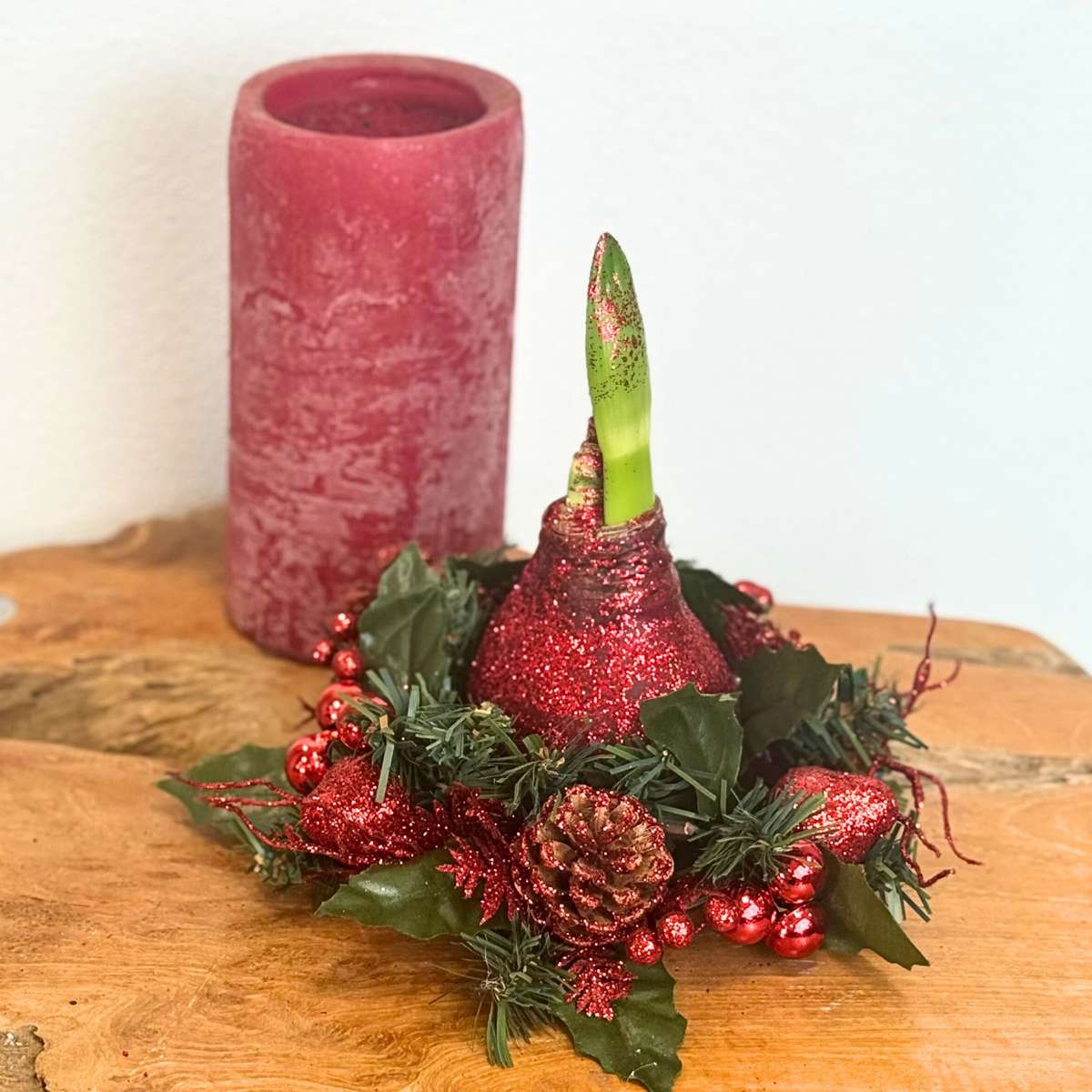 Amarilis - Hippeastrum 'Coroană de Crăciun Mix'