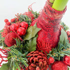 Amarilis - Hippeastrum 'Coroană de Crăciun' - Roșu