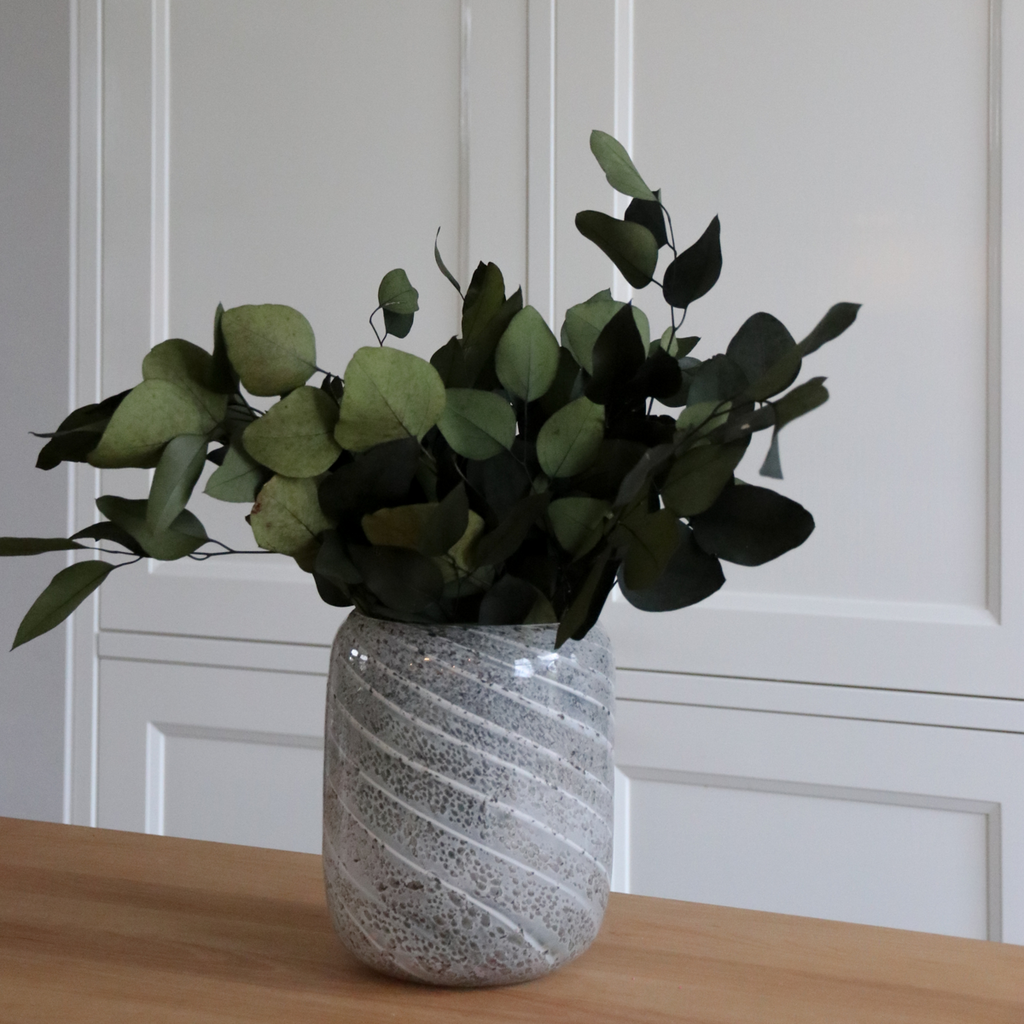 Eucalipt - Eucalyptus stuartiana - Flori uscate - Verde