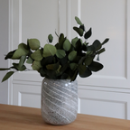 Eucalipt - Eucalyptus stuartiana - Flori uscate - Verde